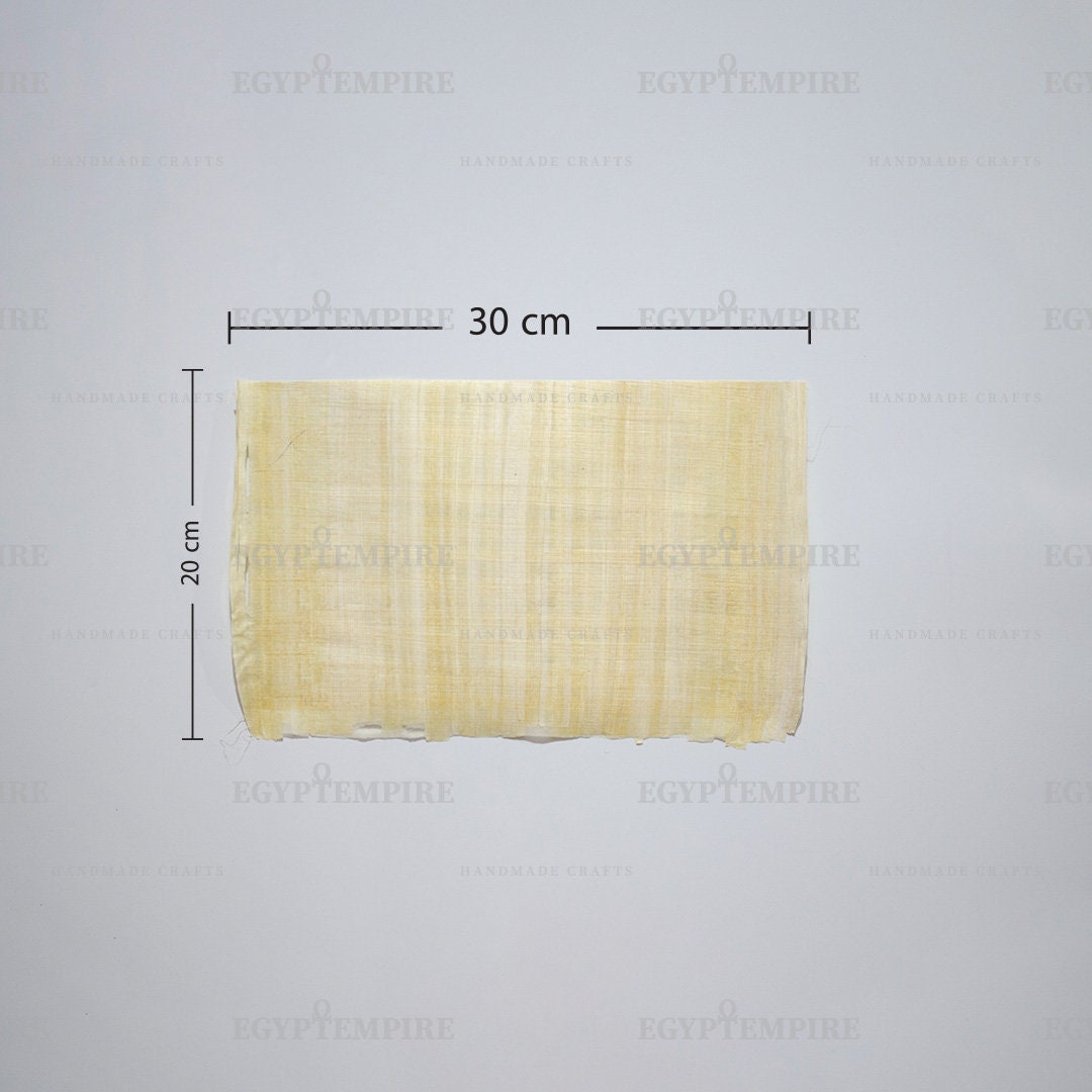 Vintage Papyrus paper : A set of 10 authentic blank papyrus sheets 14"x8" inch, Perfect for your drawing projects, scrapbook, school art
